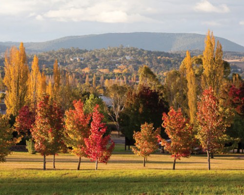 Line Marking Armidale & Tamworth